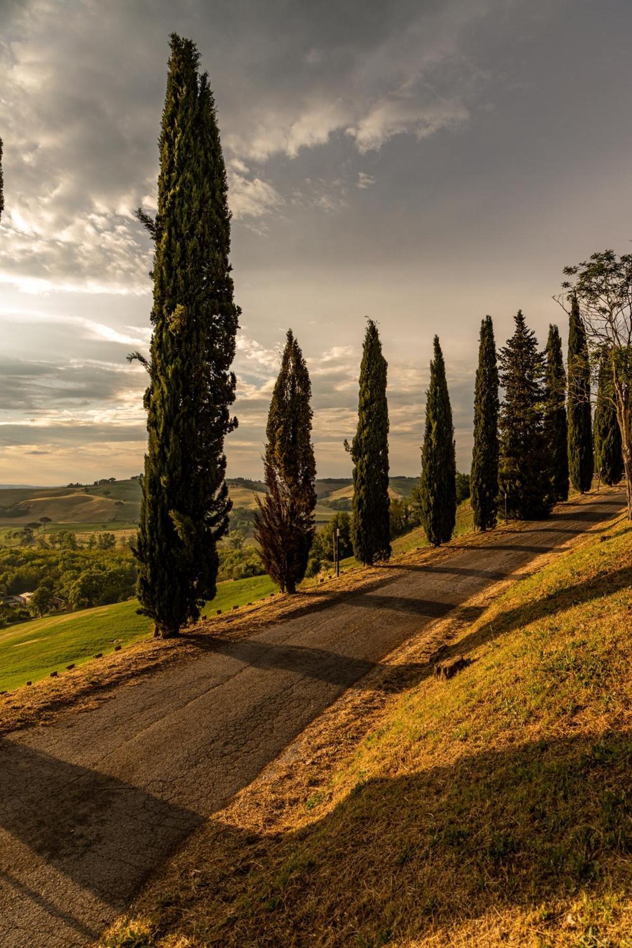 Agriturismo Percenna Buonconvento Zewnętrze zdjęcie