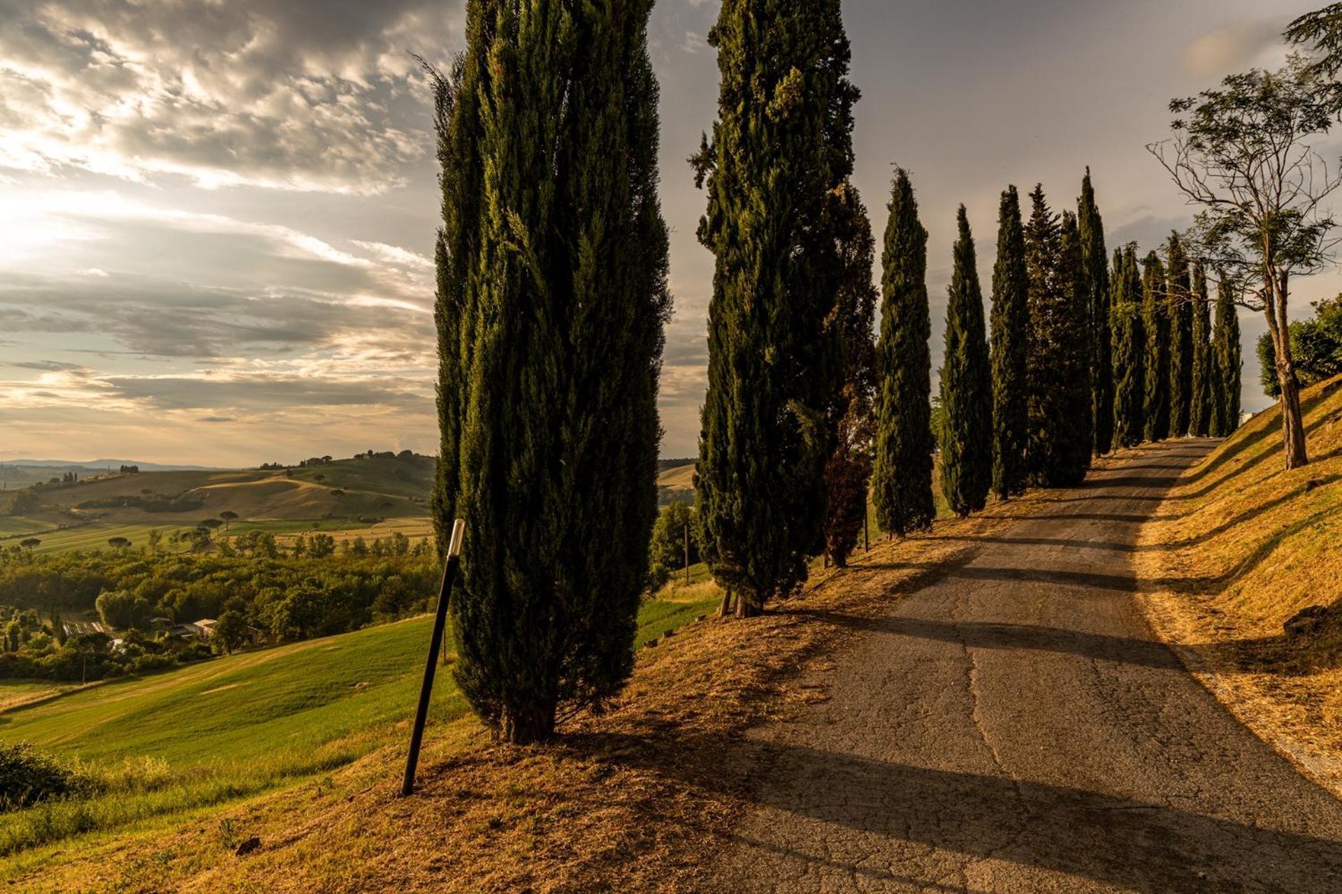 Agriturismo Percenna Buonconvento Zewnętrze zdjęcie