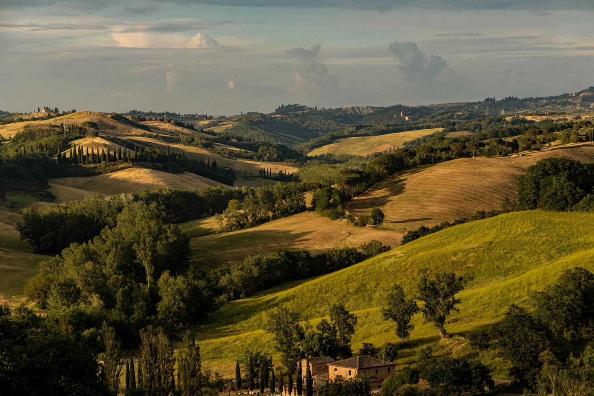 Agriturismo Percenna Buonconvento Zewnętrze zdjęcie